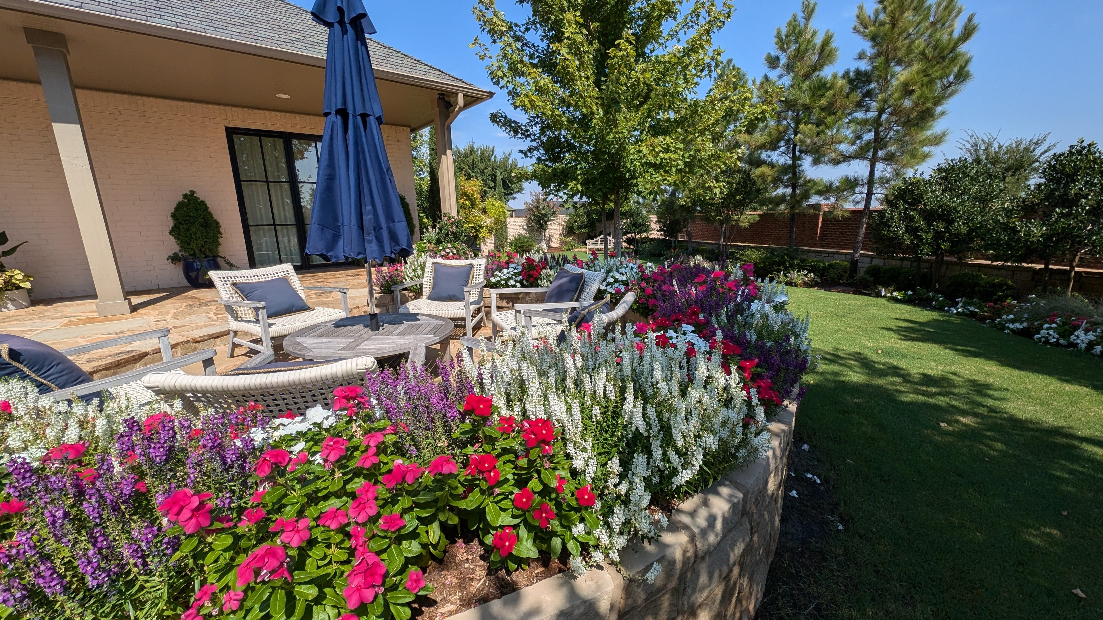 Outdoor Plant Collection