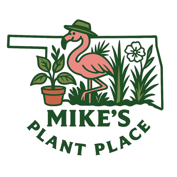 Mikes Plant Place