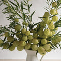Milkweed-Oscar