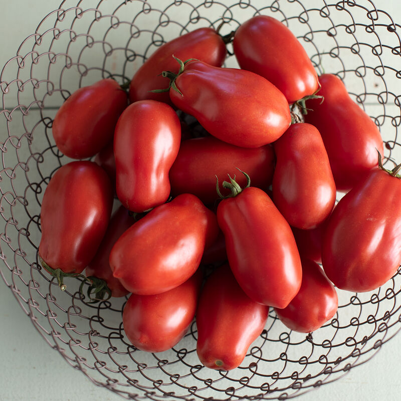 Tomato-San Marzano